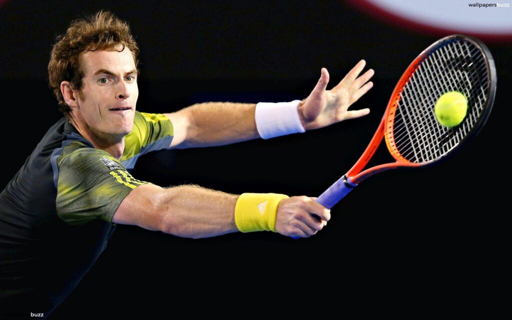 Handsome Andy Murray 2K Wallpapers
