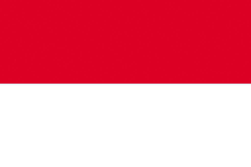 Indonesia Flag Stripes