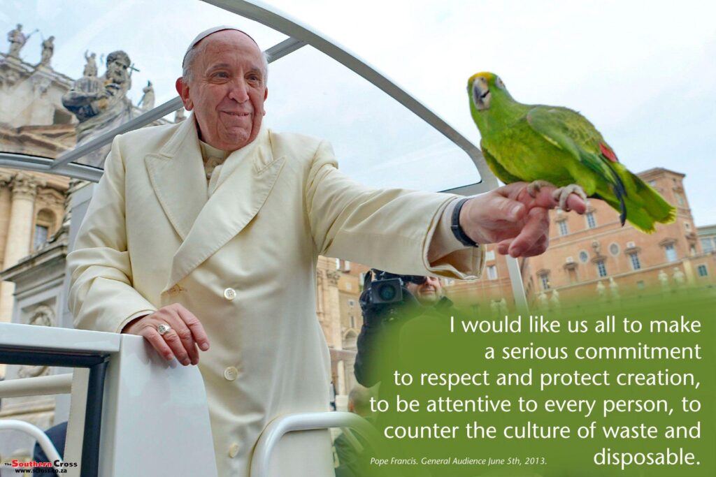 Pope Francis ‘Green’ Wallpapers