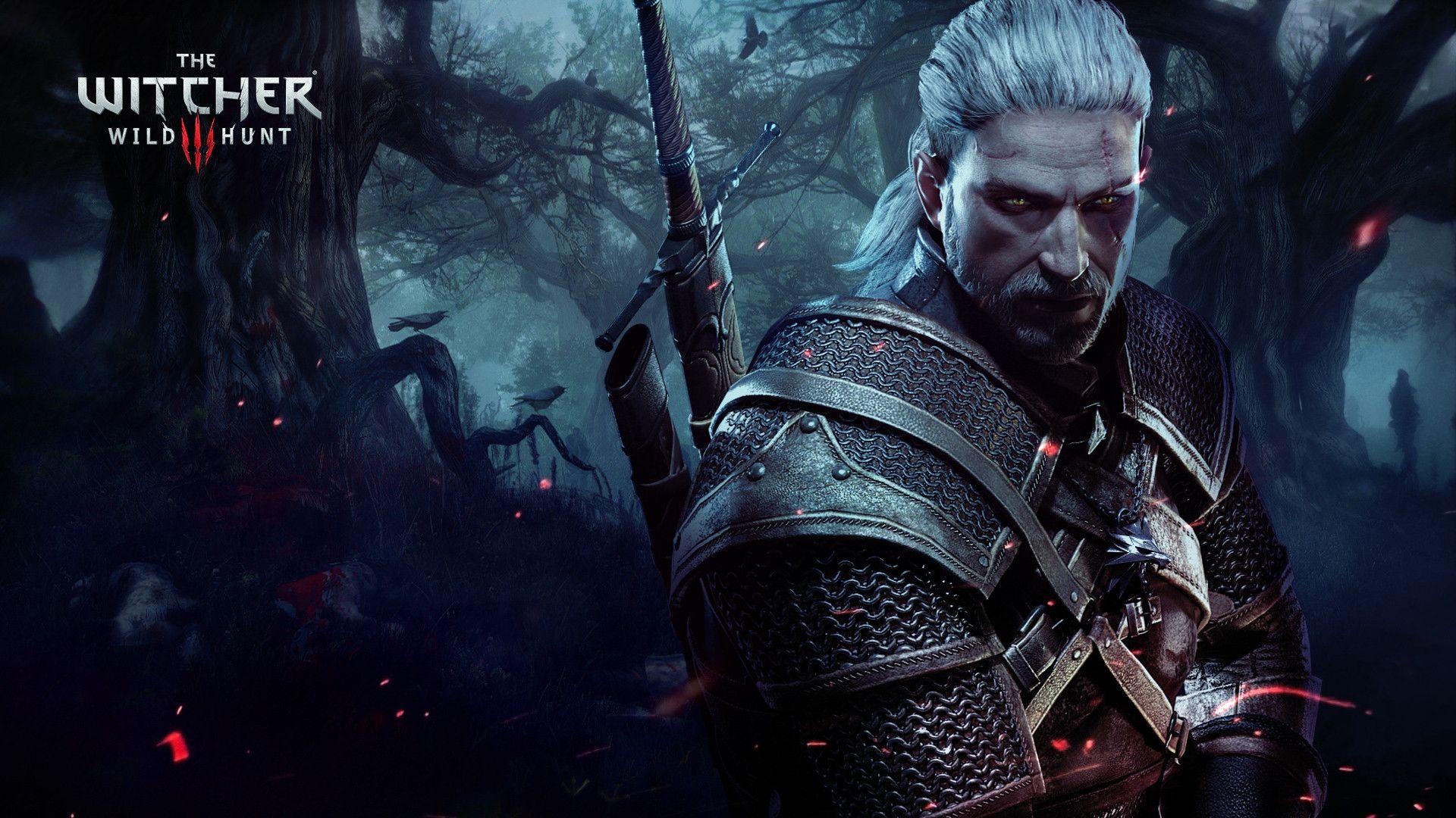 The Witcher Wild Hunt wallpapers