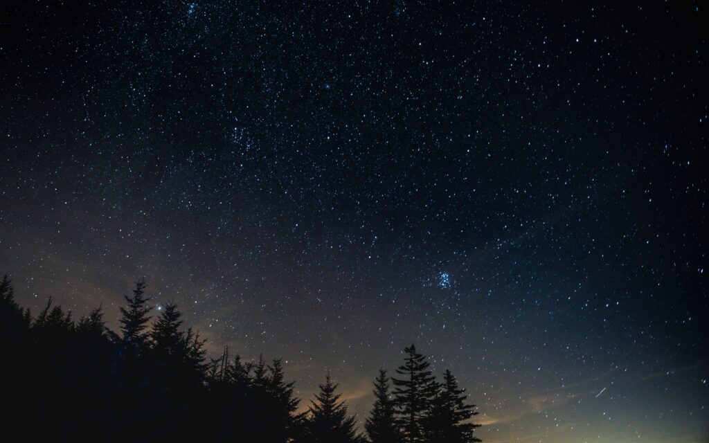 Download wallpapers starry sky, night, trees, night