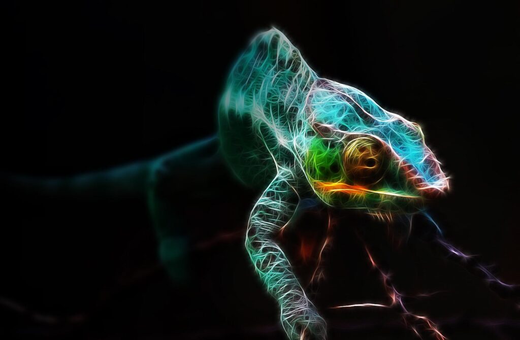 Chameleon Wallpapers and Backgrounds Wallpaper