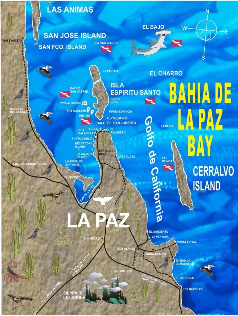 La Paz Baja California Mexico