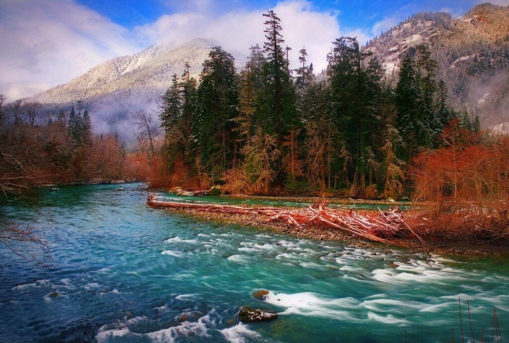 Rivers Forest Washington River Snow Mountains Elwha State Fall