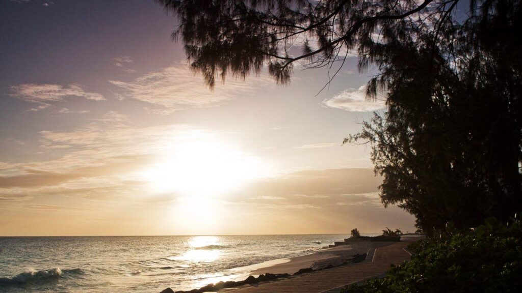 Beaches Nuku Vavau Tonga Ocean Paradise Island Green Palms Beach