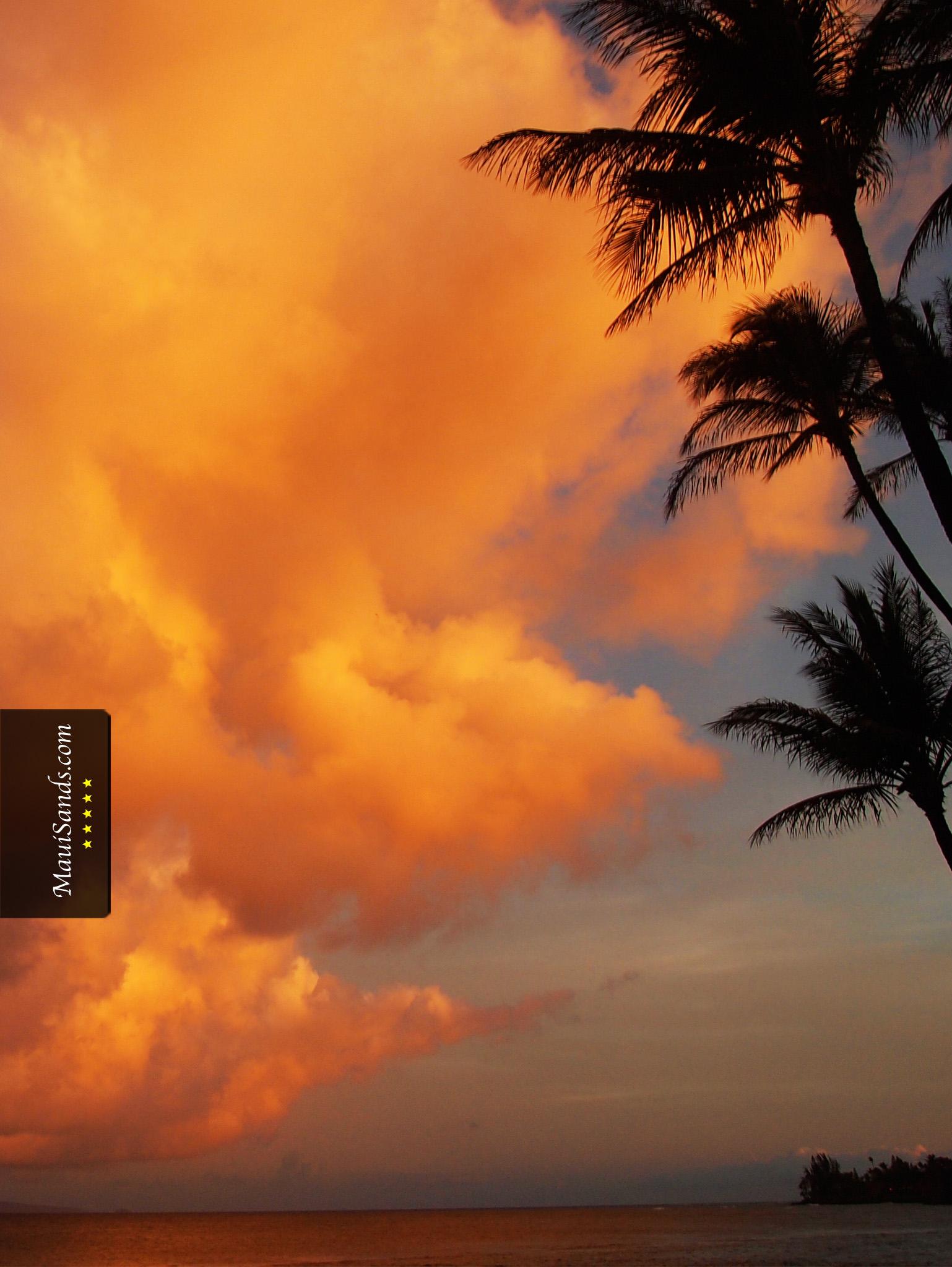 Hawaii Wallpapers from Maui Sands