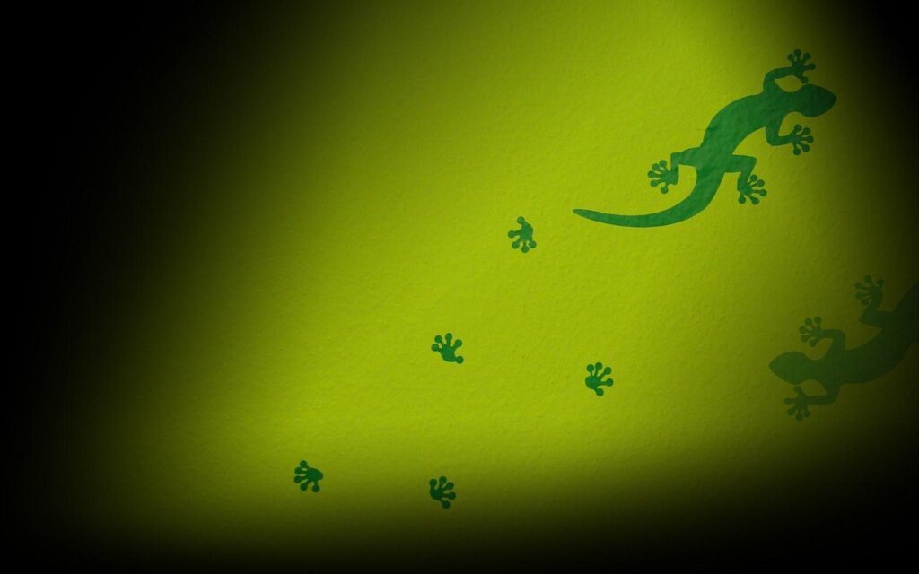 Green lizard wallpapers and Wallpaper