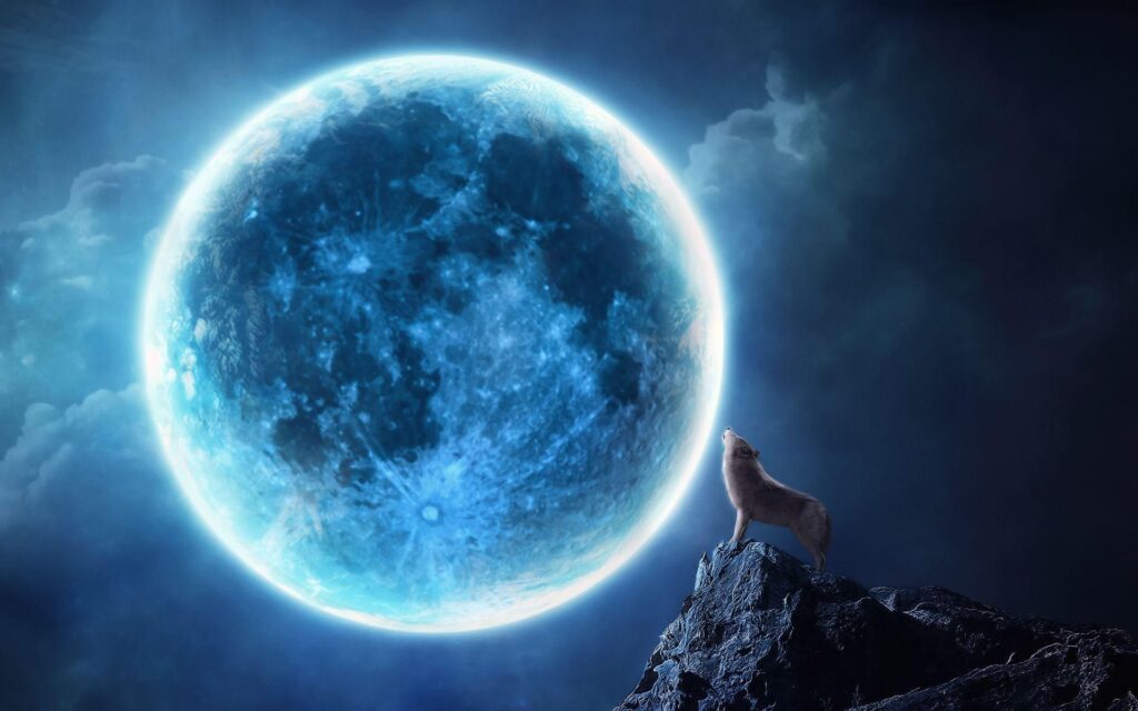 Howling wolf full moon Wallpapers