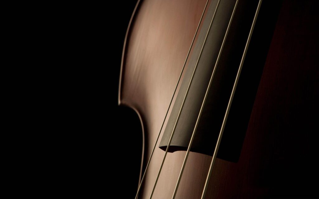 Double Bass