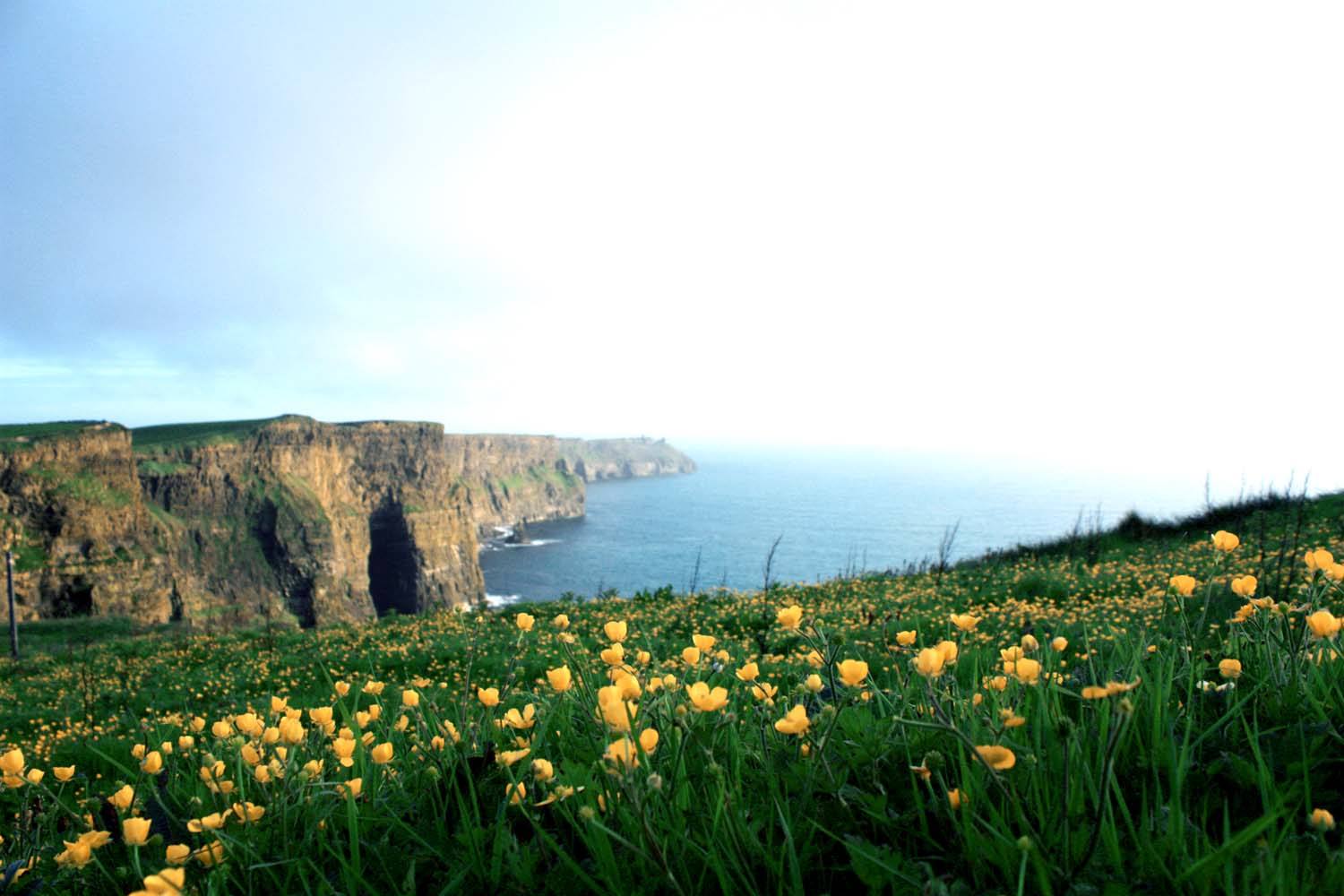 Px Cliffs of Moher Ireland Wallpapers