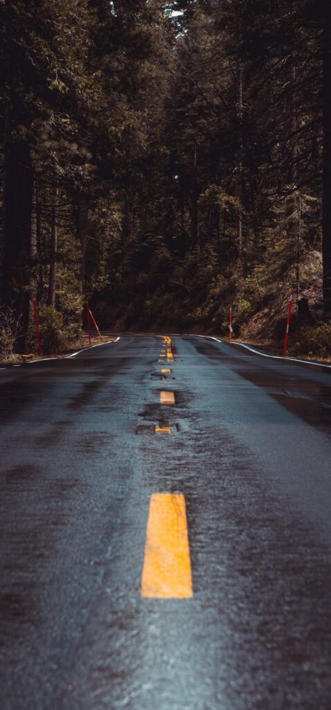 Road Forest Turn Wallpapers