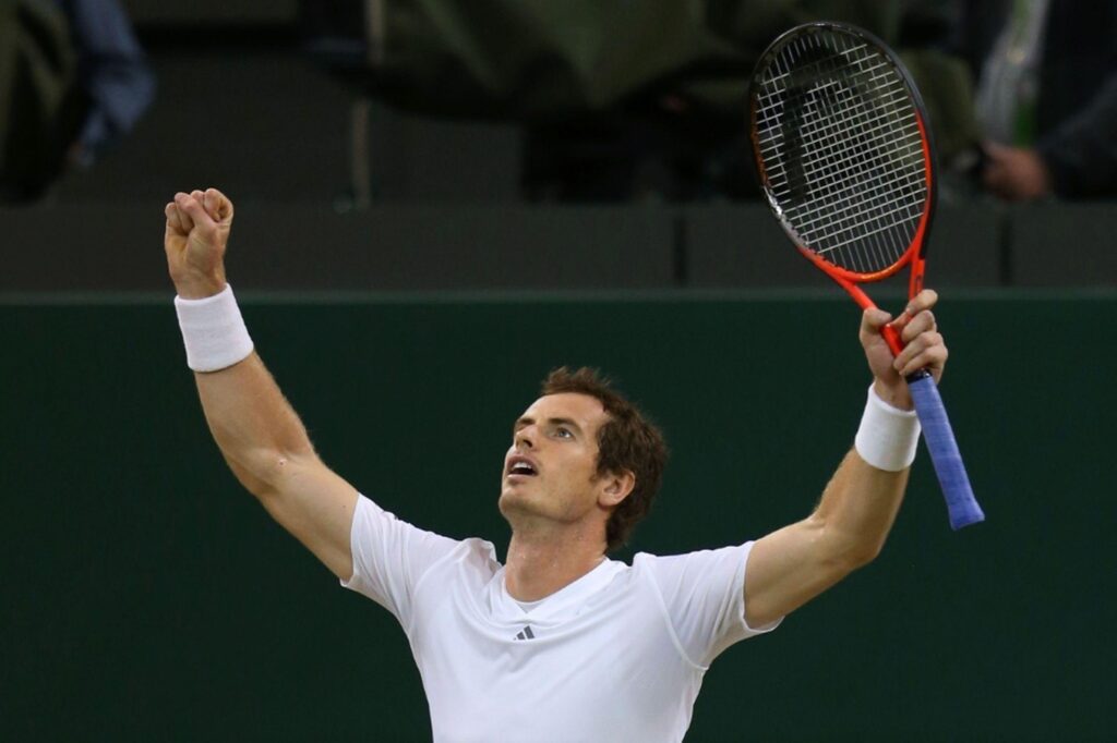 Andy Murray Wimbledon Final