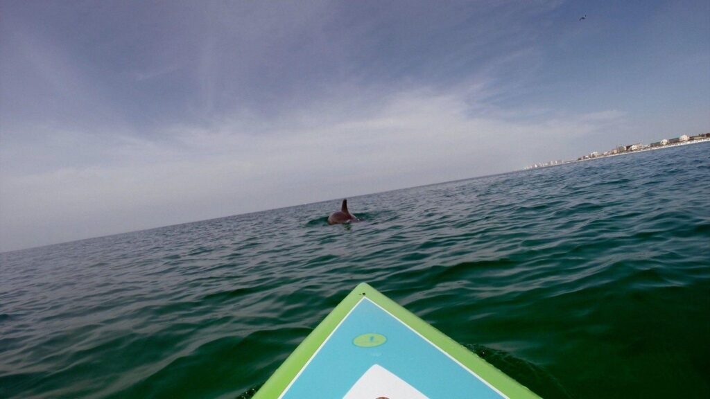 Paddle Boarding in Destin Florida