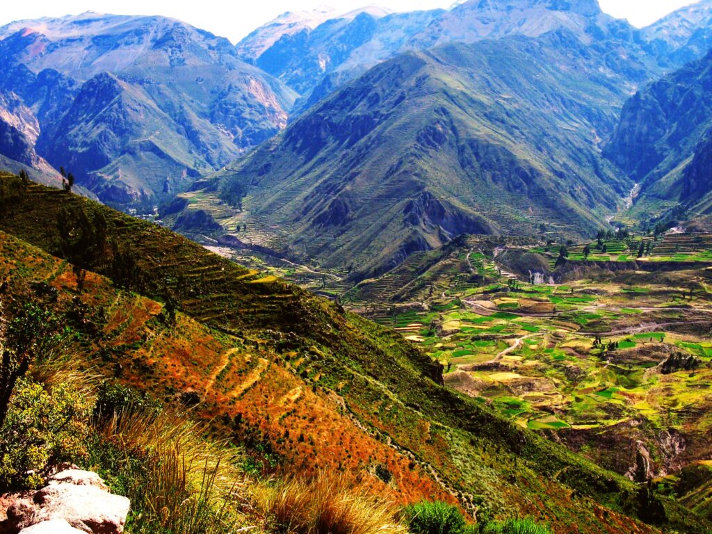 Colca Canyon Full Day Peru Breathtaking Trips Peru Tours and