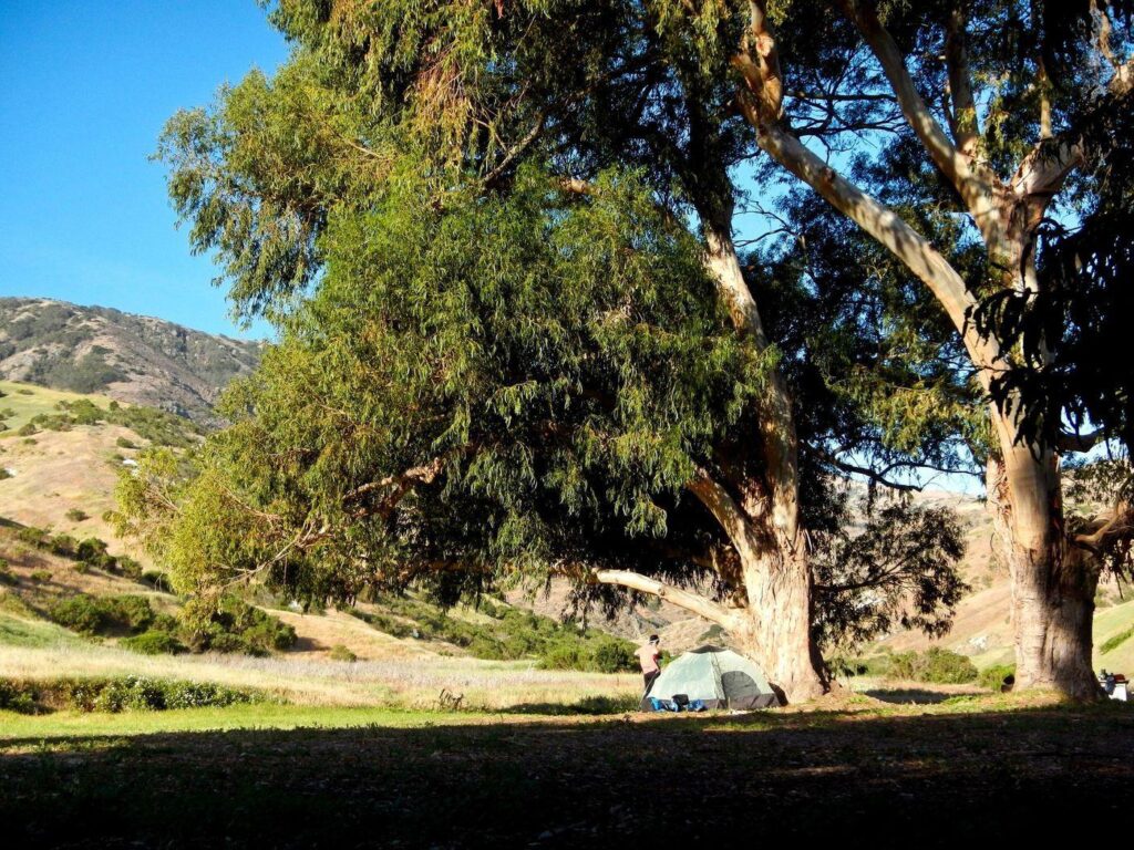 Channel Islands National Park Kayak thrills, foxy neighbors