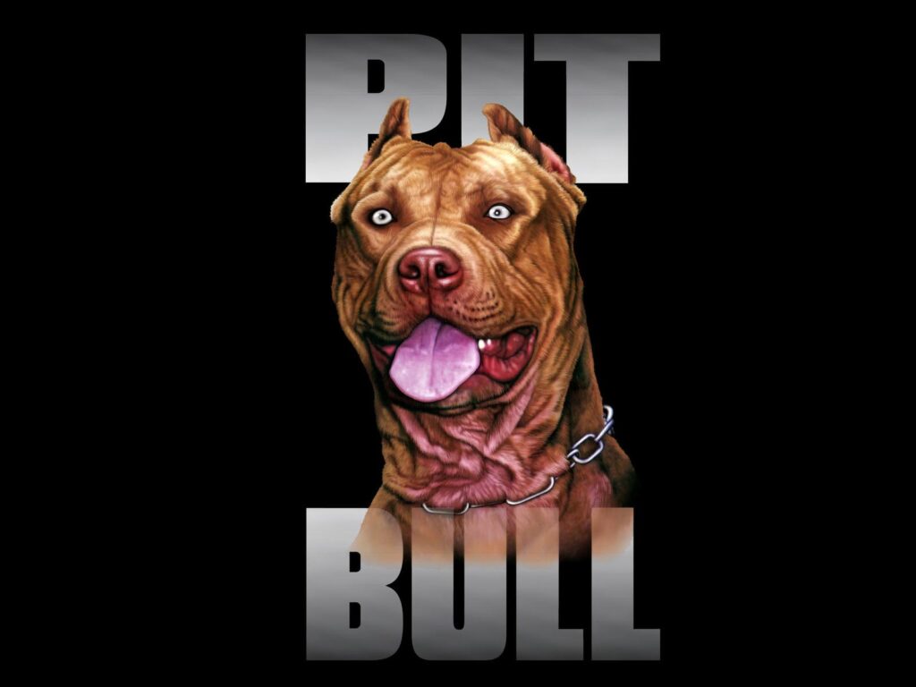 Pit bull dog breed wallpapers