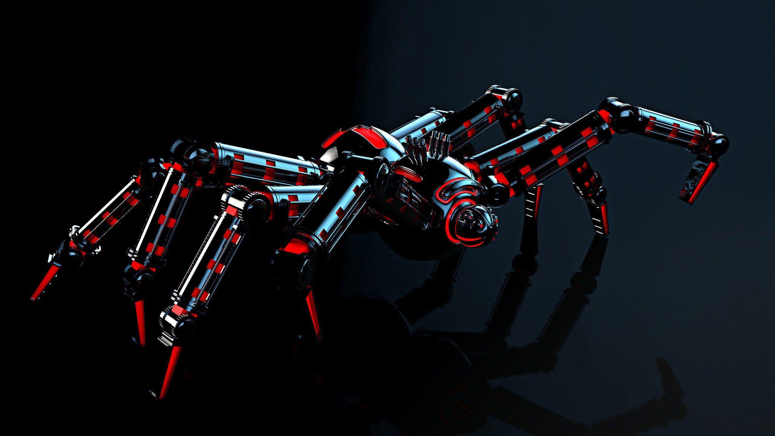 Black Widow Spider HD
