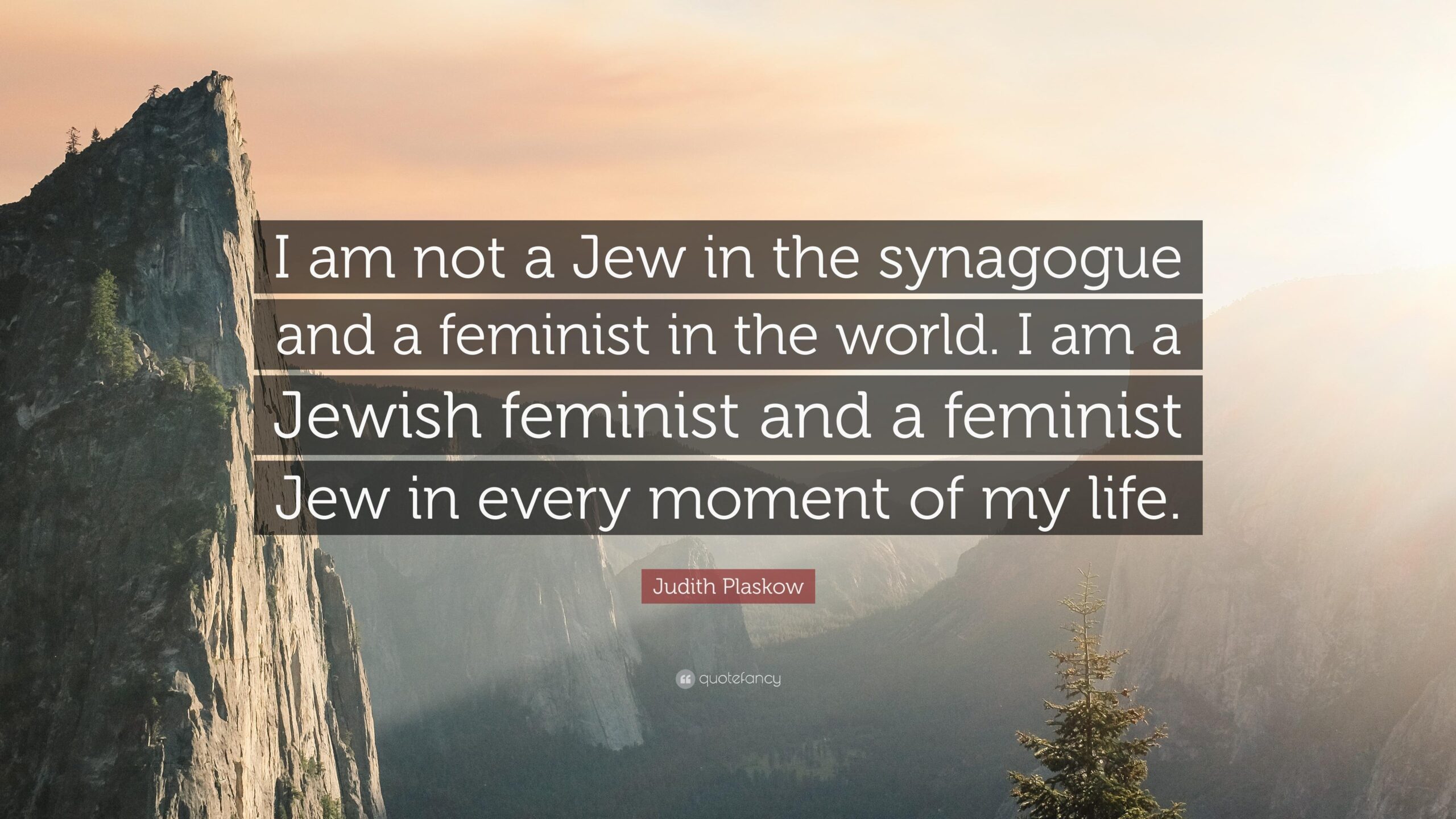 Judith Plaskow Quote “I am not a Jew in the synagogue and a