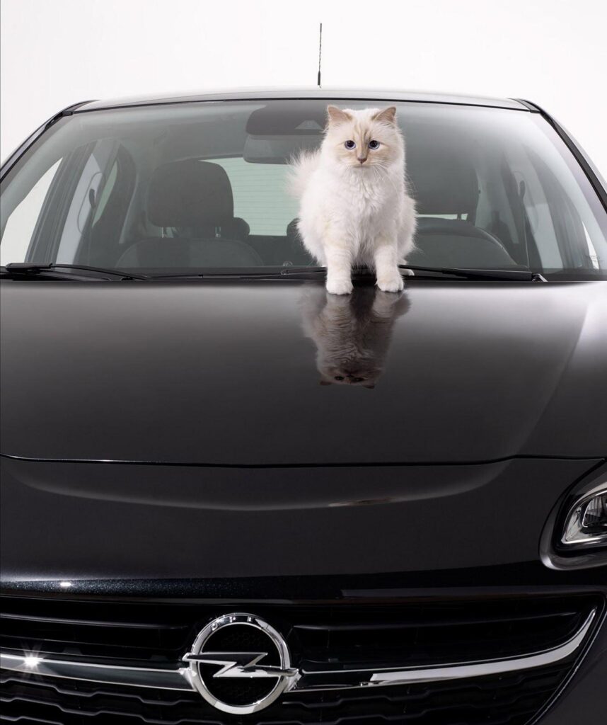 Opel Corsa Callendar with Karl Lagerfeld`s Cat photo