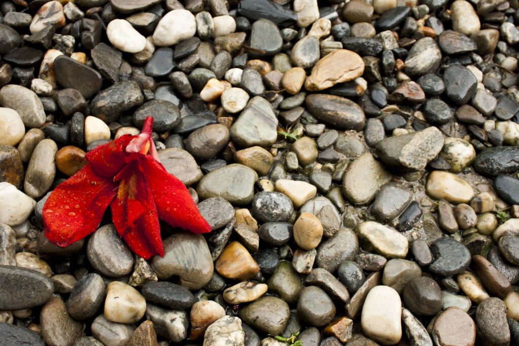 HD Pebbles Pebble Nature Wallpapers