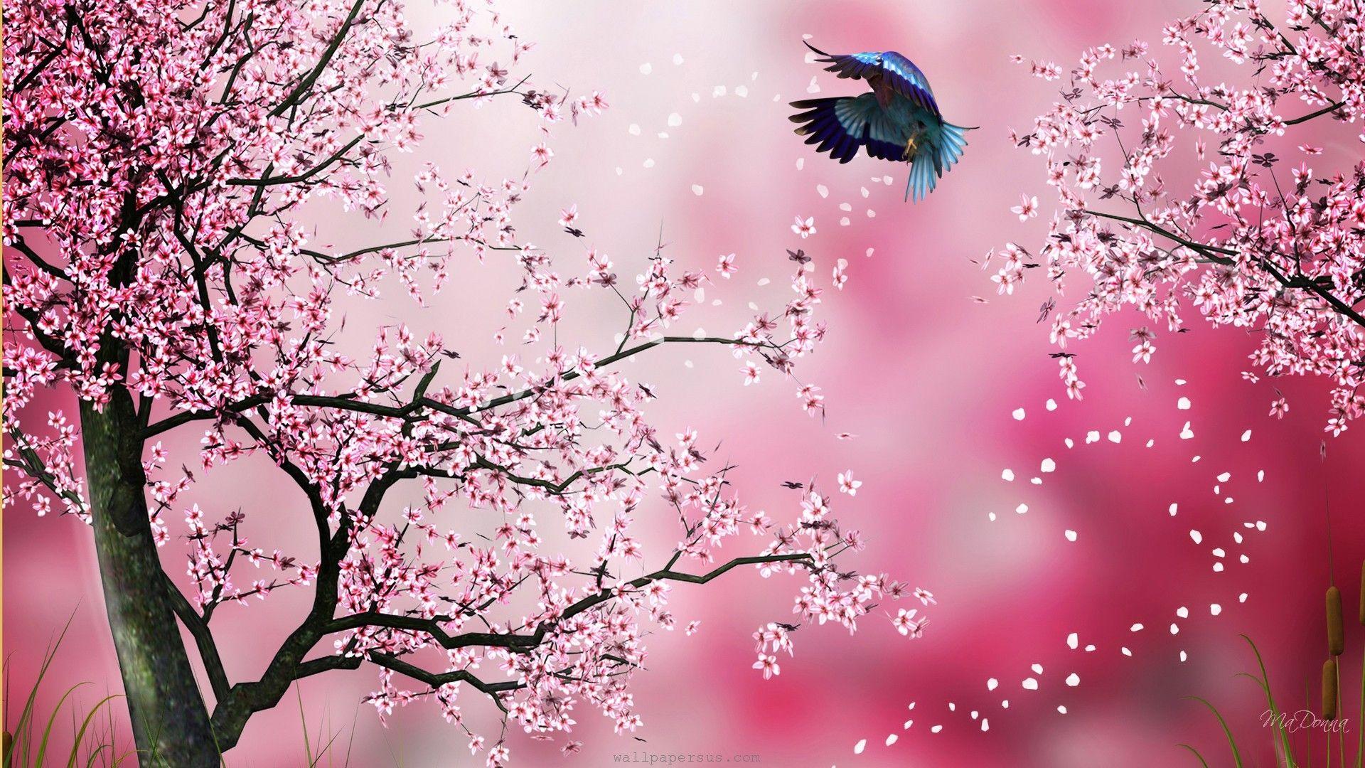 Cherry Blossom Drawing Wallpapers at GetDrawings