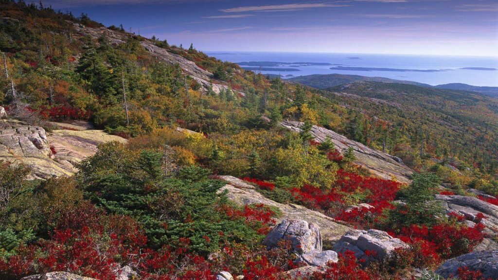 Quotes About Acadia National Park QuotesGram
