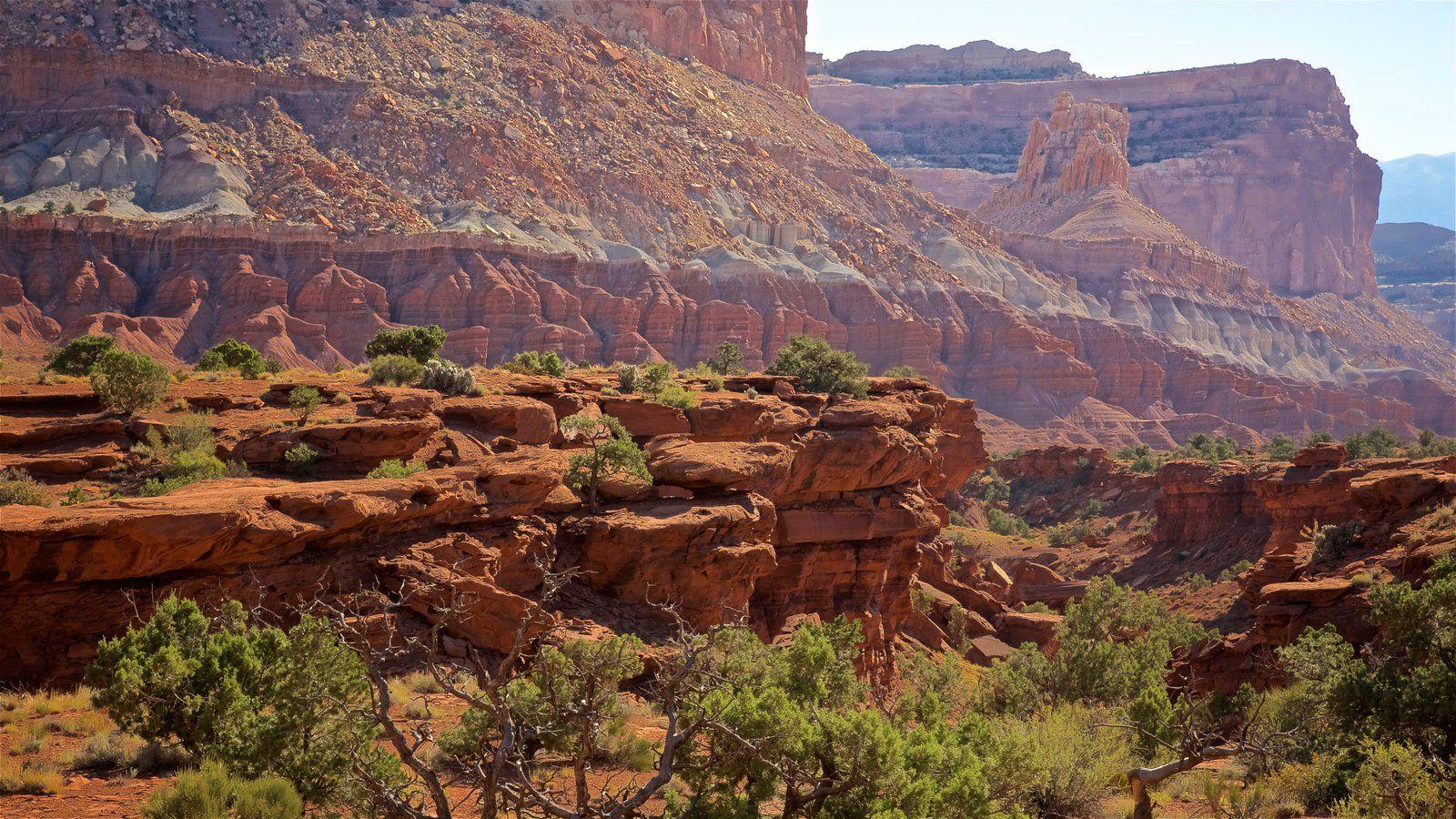 Capitol Reef National Park Pictures View Photos & Wallpaper of