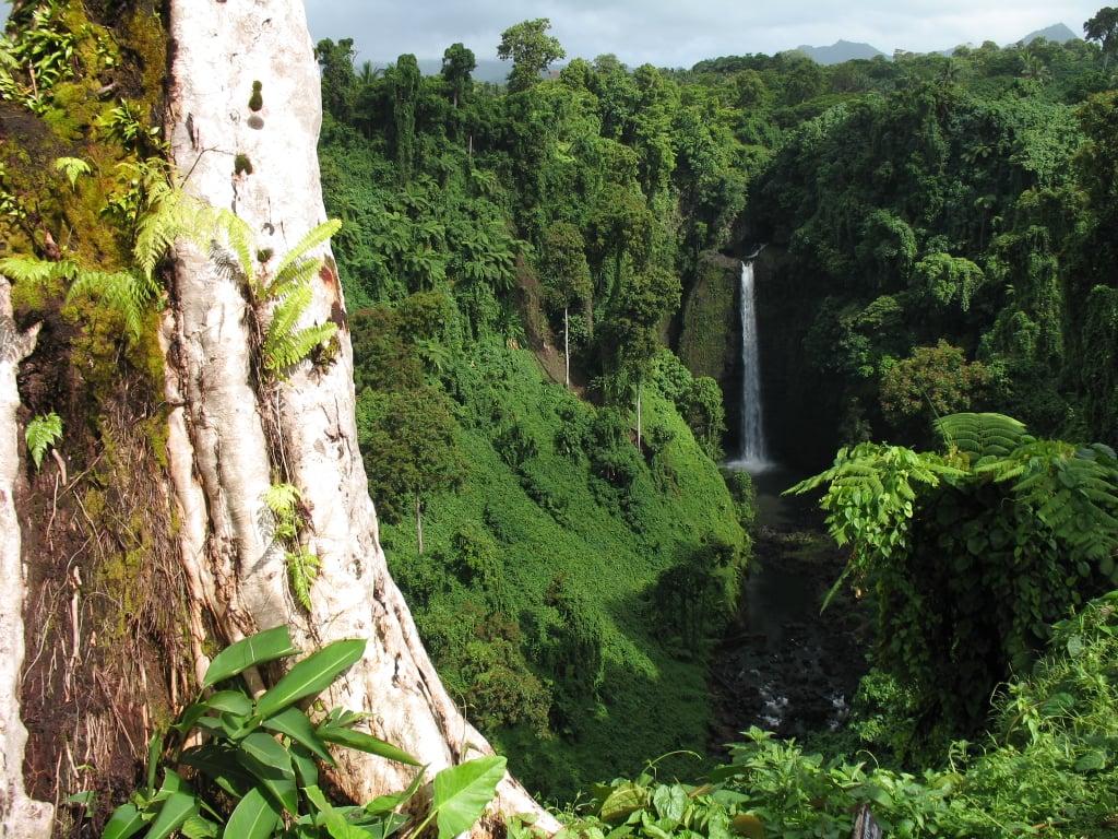 Hike to the Sopoaga Waterfall in Samoa