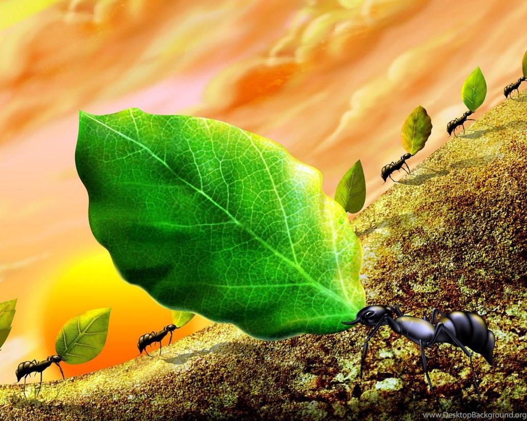 Ant Wallpapers Tag Desk 4K Backgrounds