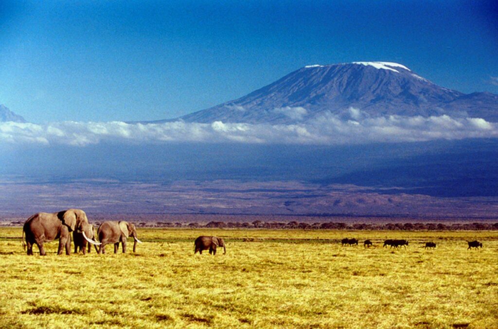 Kilimanjaro Wallpapers, Amazing Wallpapers of Kilimanjaro, Top