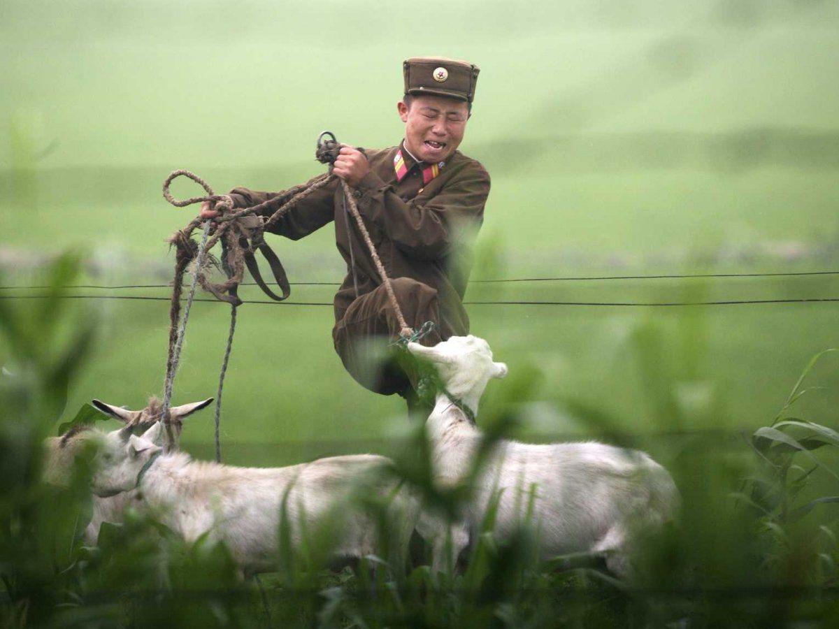 North Korea’s Summed Up In Photos