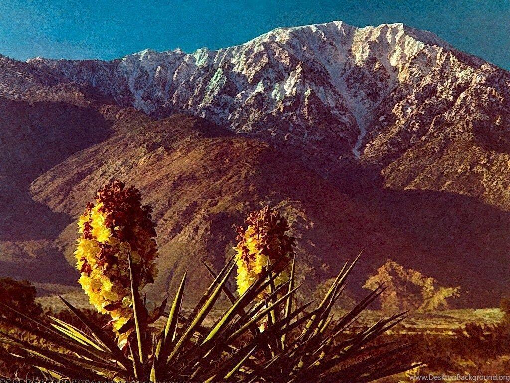 Mt San Jacinto Southern California Nature Wallpapers Wallpaper