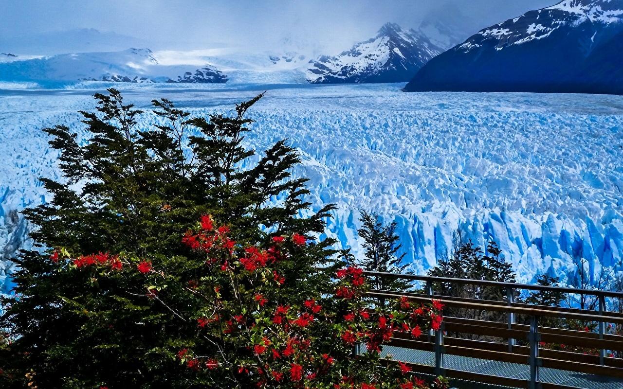 Wallpapers Argentina Perito Moreno Glacier Santa Cruz Province