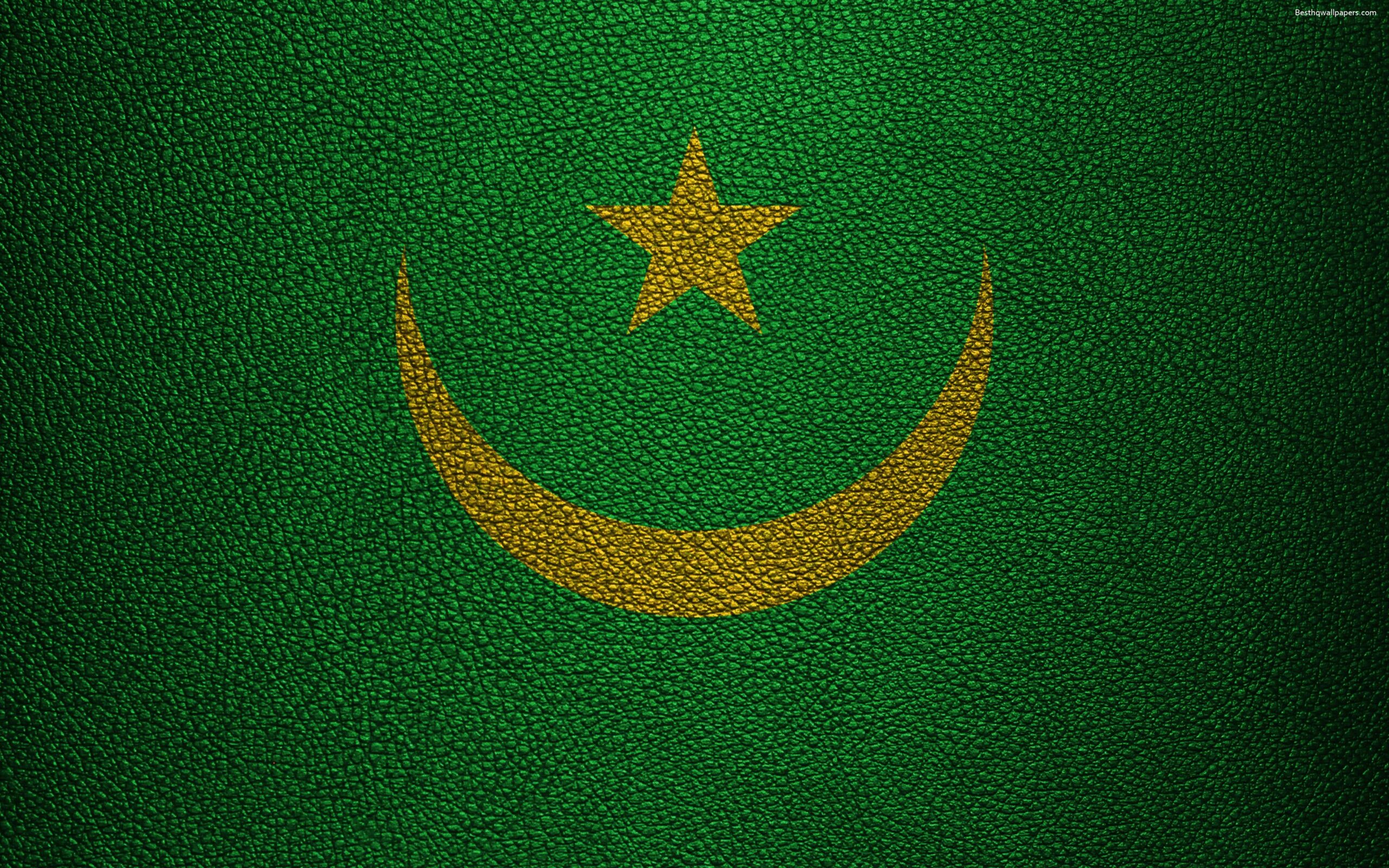 Download wallpapers Flag of Mauritania, k, leather texture, Africa