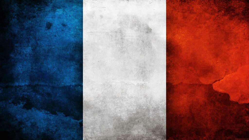 France Flag by think