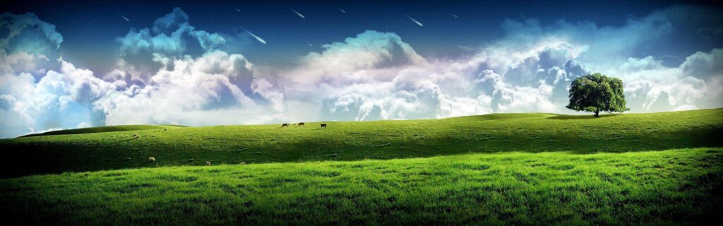 Green Meadows Wallpapers