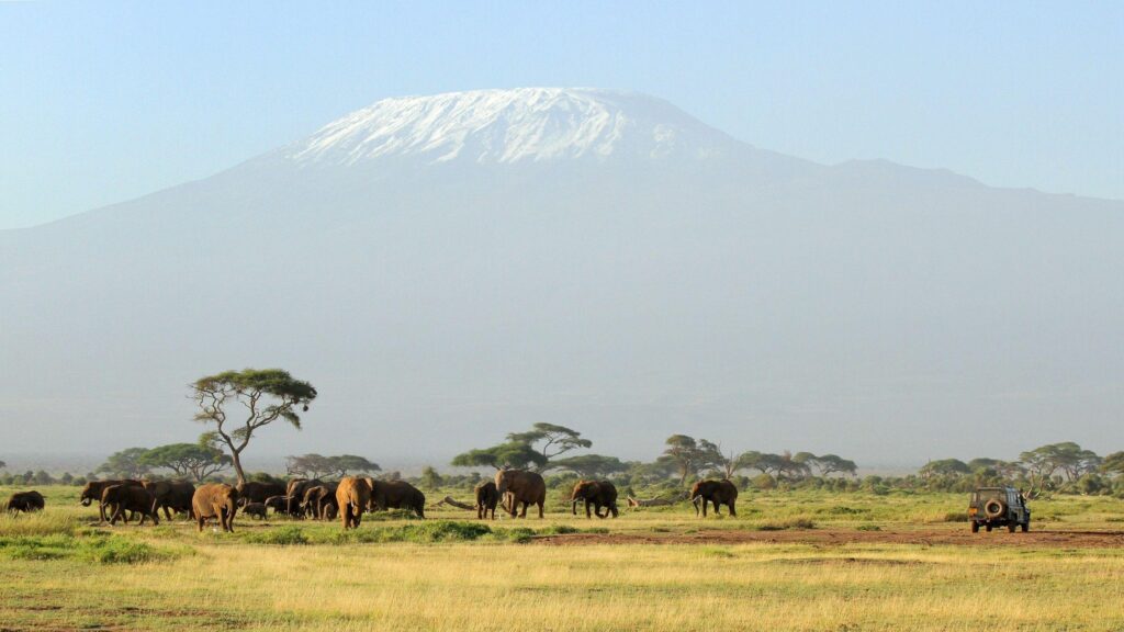 HD Kilimanjaro Safari Wallpapers