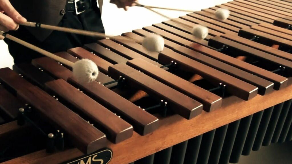 Pictures of Marimba Instrument 4K View