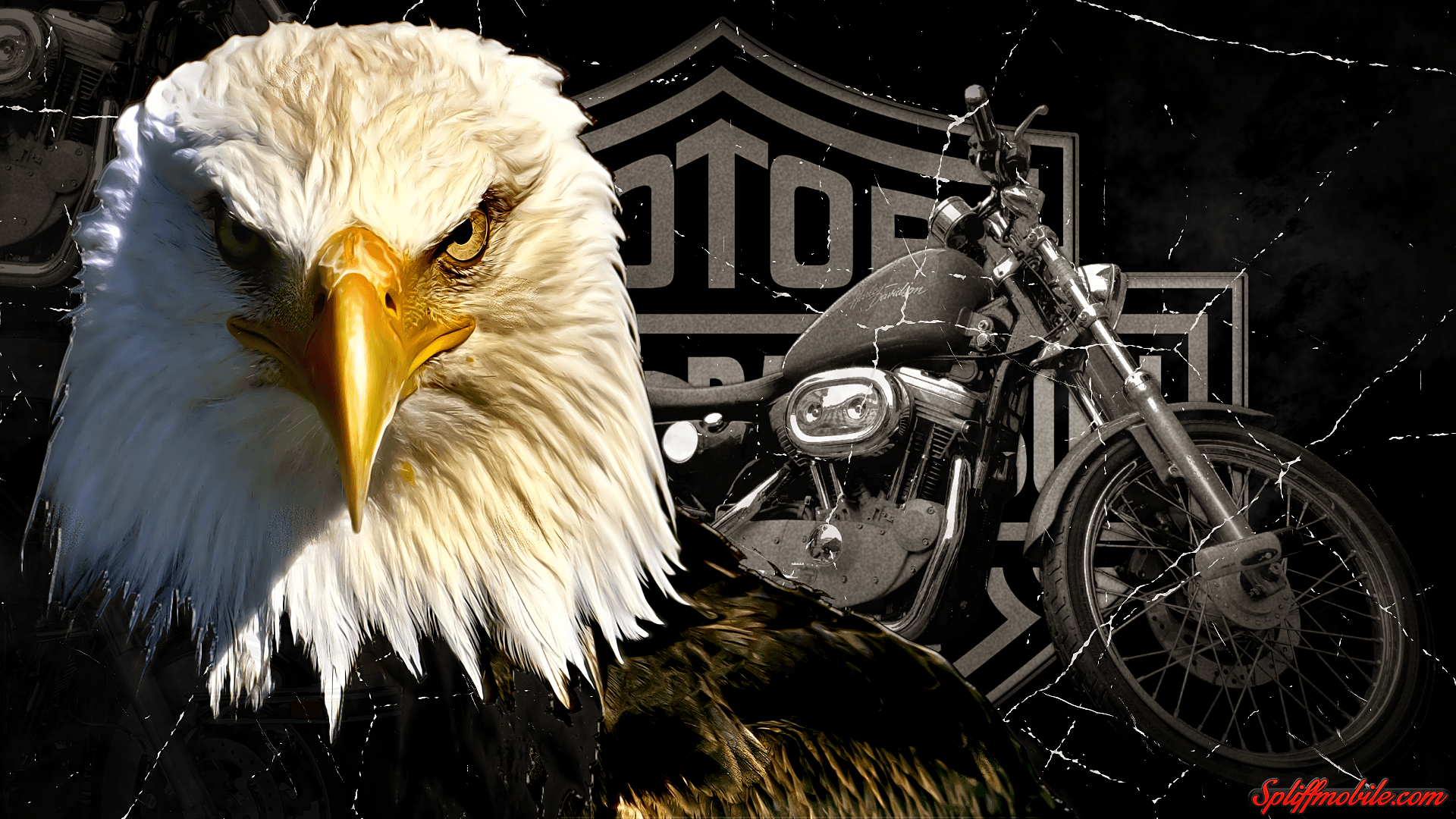 HD Harley Davidson Wallpapers