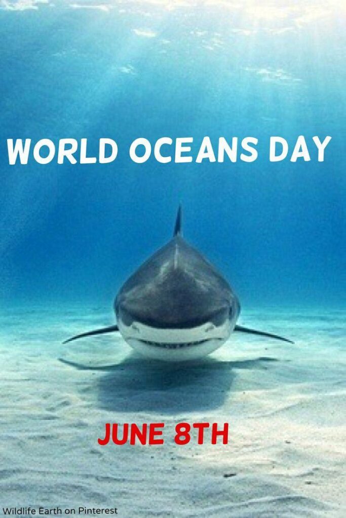 Best World Oceans Day Wallpaper