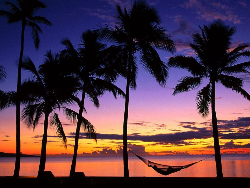 Beach Sunsets With Palm Trees 2K Wallpapers in Beach n