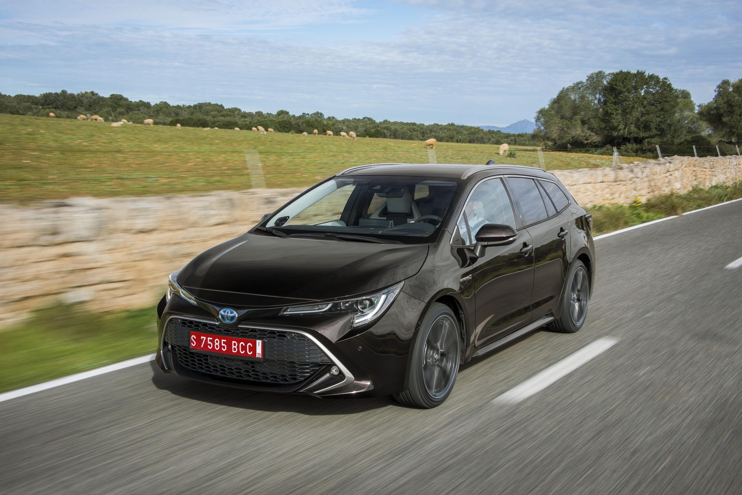 Toyota Corolla touring sports