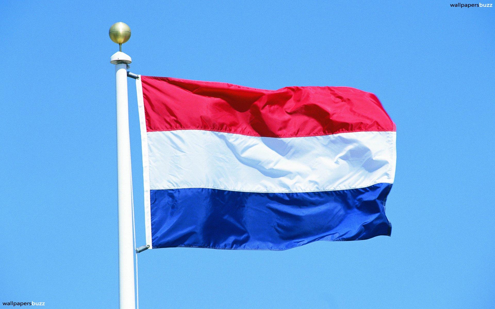 The traditional flag of Kingdom of Netherlands 2K Wallpapers