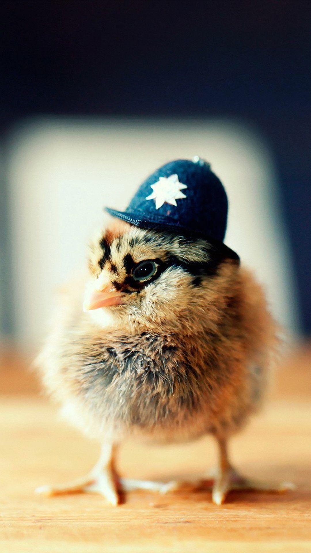 Police chick, so cute- Cute Animals iPhone Wallpapers
