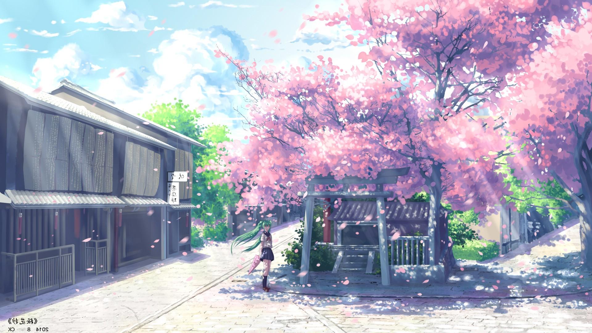 Anime Cherry Blossom Wallpapers
