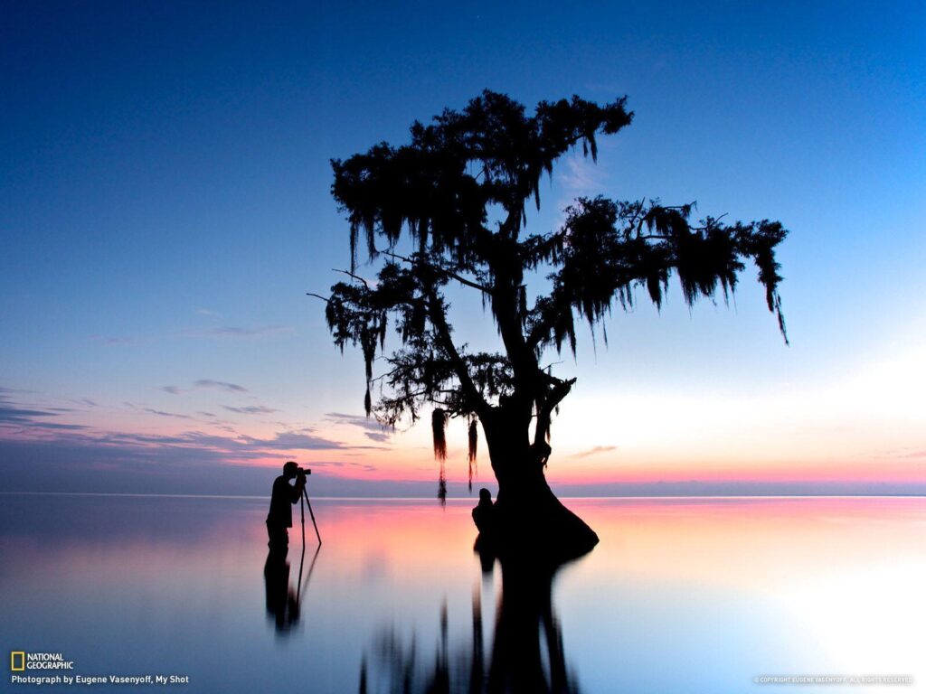 Lake Maurepas, Louisiana