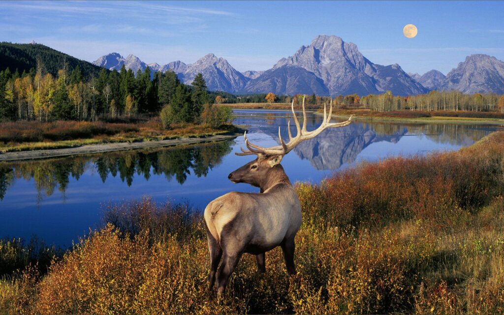 Grand Teton National Park Wallpapers