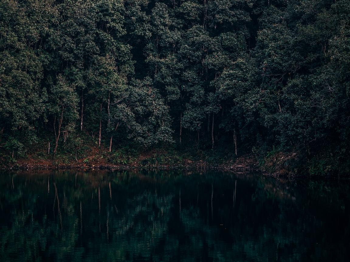Download wallpapers lake, trees, forest, reflection, begnas