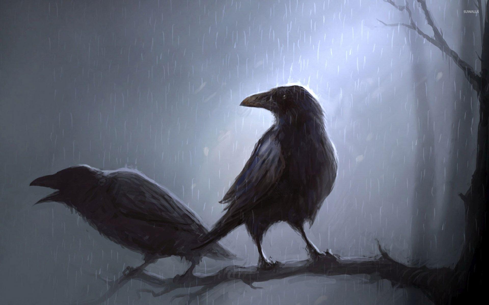 Crows standing in the rain on the branch wallpapers
