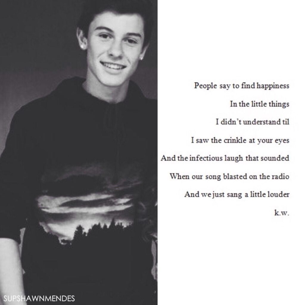 Wallpaper about ❤️Shawn Mendes❤